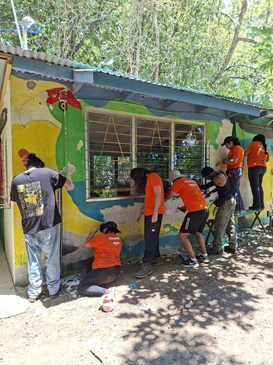 Voluntariado 1