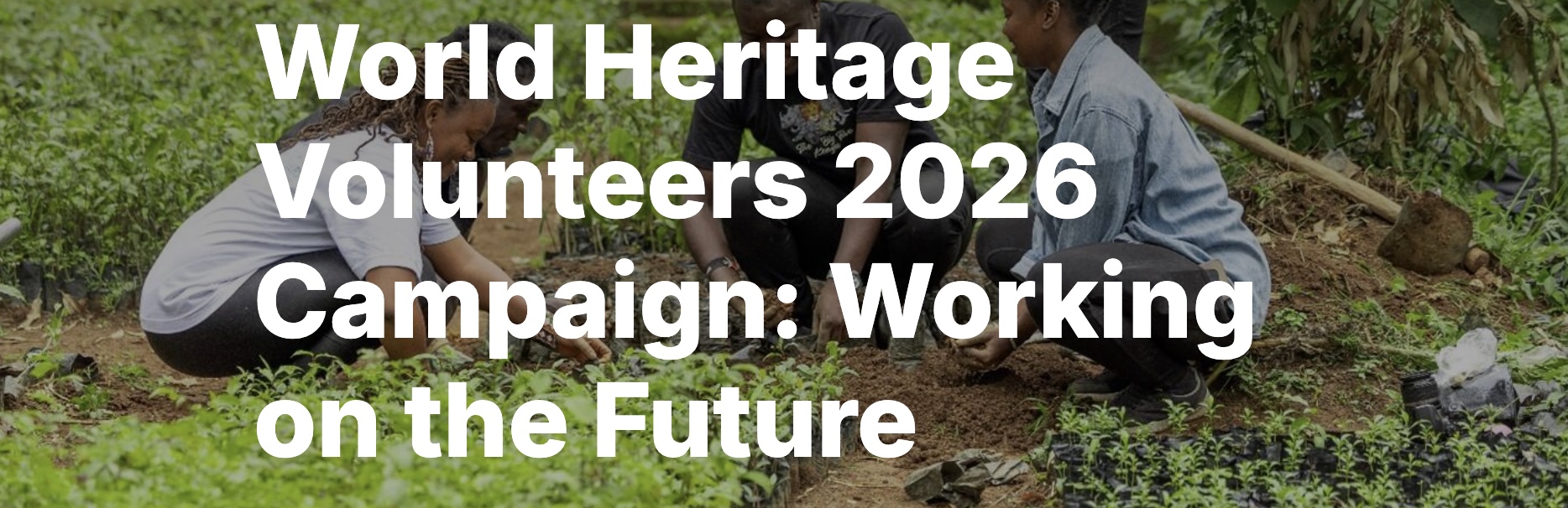Voluntarios del Patrimonio Mundial 2026: Trabajando por el Futuro