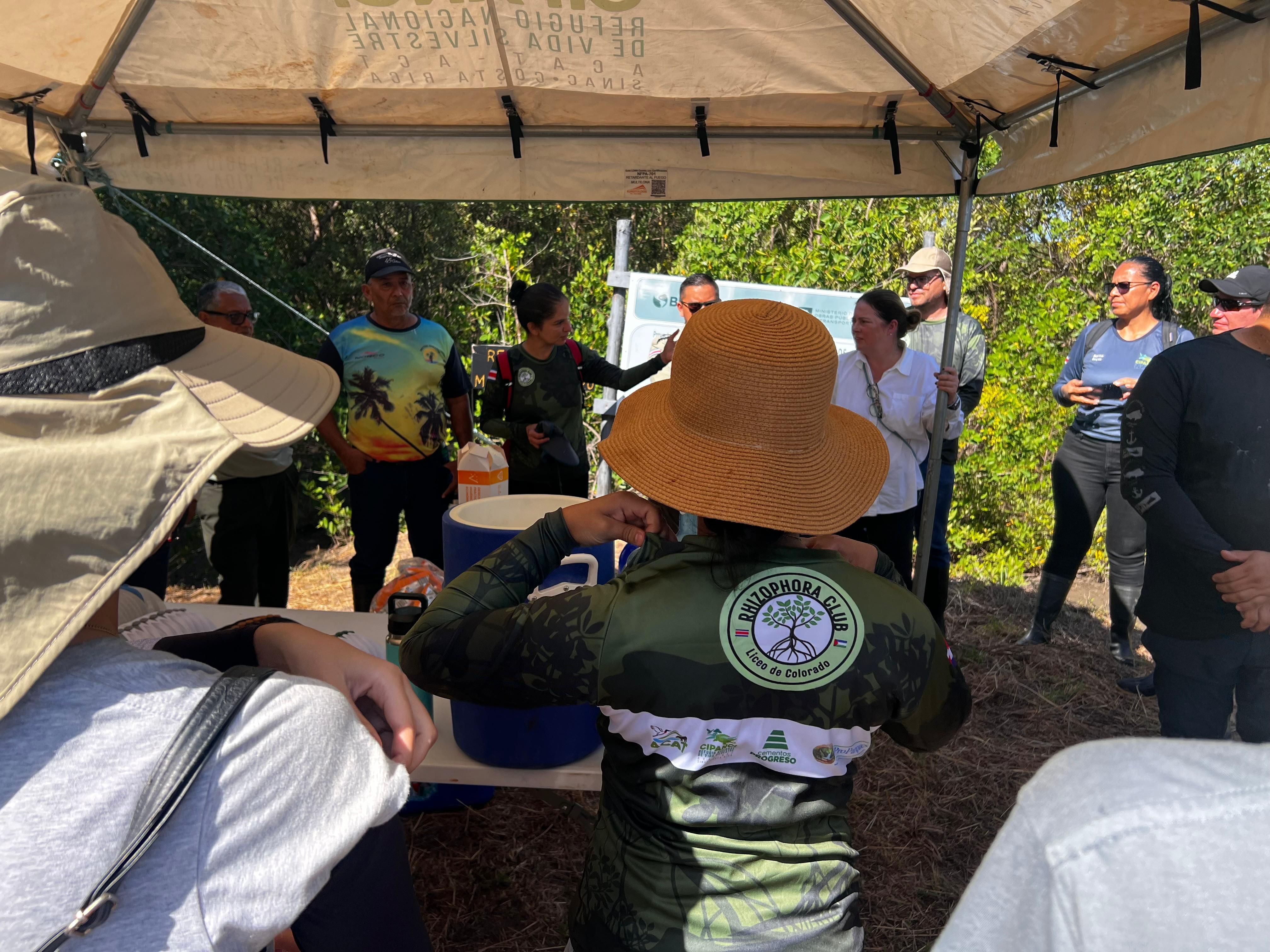 Voluntariado impulsa restauración de manglares en Refugio Nacional de Vida Silvestre Cipancí