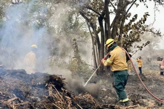 ProParques se unió a la atención de la emergencia en Palo Verde